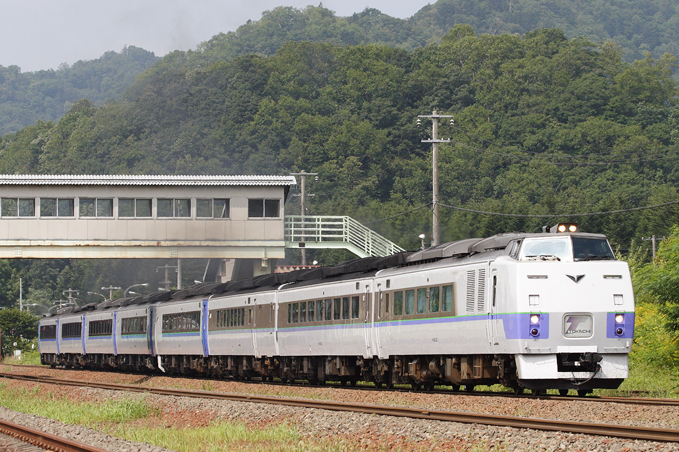 マイクロエース A-8673 キハ261系 スーパーとかち - おもちゃ